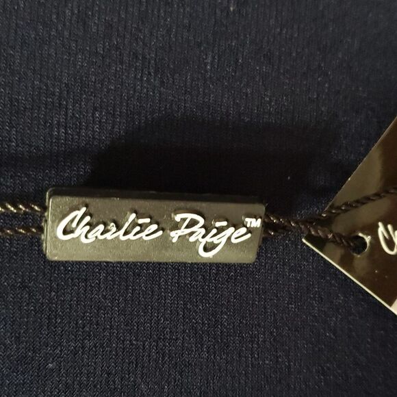 Charlie Paige. Darling 3/4 Sleeve Scoop Neckline with Multi Layers. Size S/M. - Picture 7 of 12